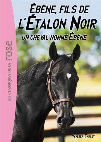 Couverture du livre « L'étalon noir t.22 ; Ebène, fils de l'étalon noir t.2 ; un cheval nommé Ebène » de Walter Farley et Steven Farley aux éditions Hachette Jeunesse