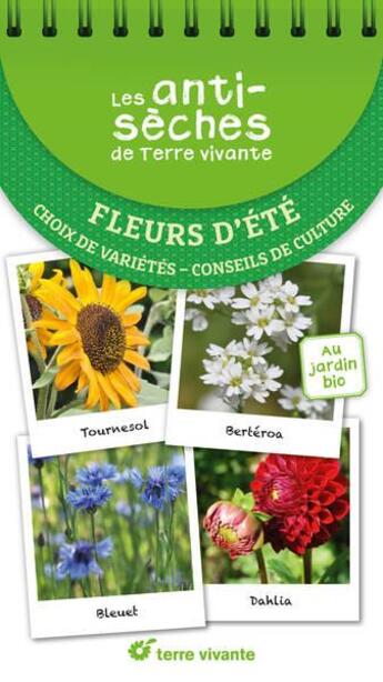 Couverture du livre « Les antisèches de Terre vivante : Fleurs d'été : Choix de variétés ; Conseils de culture » de Brigitte Lapouge-Dejean et Serge Lapouge aux éditions Terre Vivante