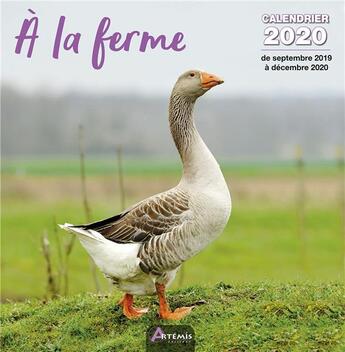 Couverture du livre « Calendrier a la ferme (2020) » de  aux éditions Artemis