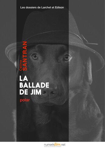 Couverture du livre « La ballade de Jim » de Celine Santran aux éditions Numeriklivres