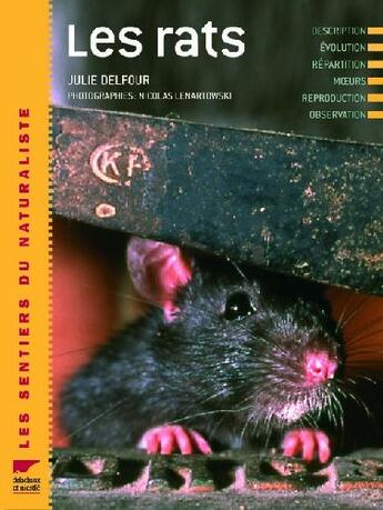 Couverture du livre « Les rats » de Julie Delfour aux éditions Delachaux & Niestle