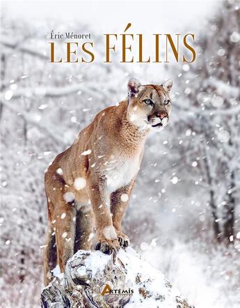 Couverture du livre « Les félins » de Eric Menoret aux éditions Artemis