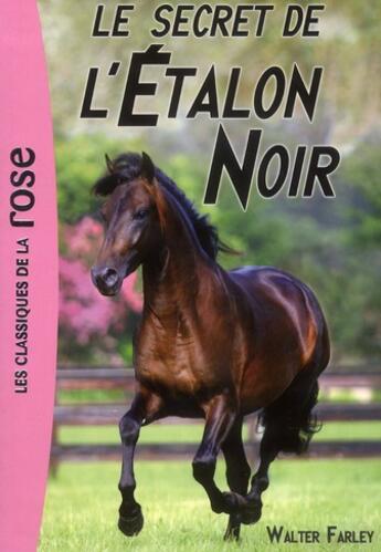 Couverture du livre « L'étalon noir t.9 ; le secret de l'étalon noir » de Walter Farley et Steven Farley aux éditions Hachette Jeunesse