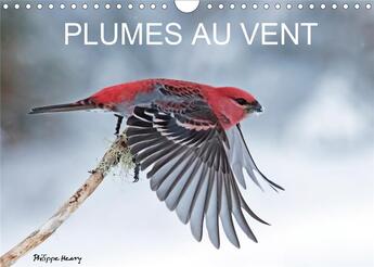 Couverture du livre « Plumes au vent calendrier mural 2020 din a4 horizontal - des oiseaux en action au fil d » de Philippe Henry aux éditions Calvendo