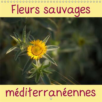 Couverture du livre « Un calendrier avec une fleur s » de Primo Monlle L aux éditions Calvendo