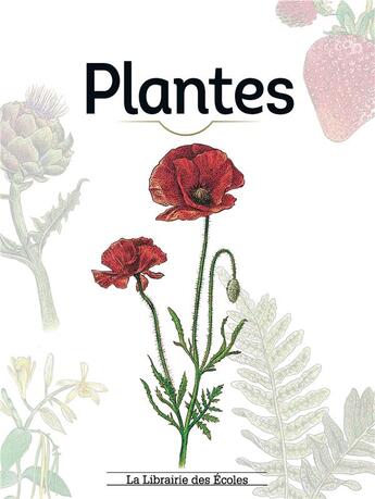 Couverture du livre « Plantes » de Lisa Garnier et Clotilde Palomino aux éditions Librairie Des Ecoles