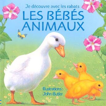 Couverture du livre « Bebes animaux » de Tatchell/Clarke aux éditions Usborne