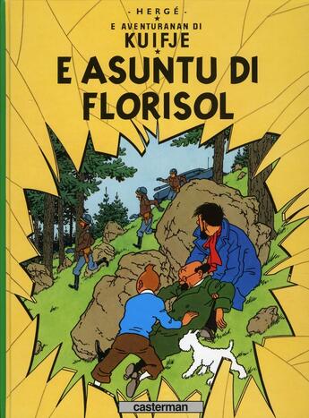 Couverture du livre « E aventura di kuifje t.18 ; e asuntu di florisol » de Herge aux éditions Casterman
