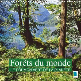 Couverture du livre « Forets du monde le poumon vert de la planete calendrier mural 2020 300 300 mm sq - la foret des oasi » de Calvendo K.A. aux éditions Calvendo