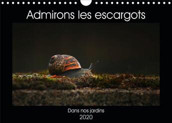 Couverture du livre « Admirons les escargots calendrier mural 2020 din a4 horizontal - dans nos jardins calendrier me » de Christina Ladan aux éditions Calvendo