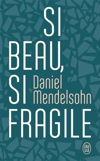 Couverture du livre « Si beau, si fragile » de Daniel Mendelsohn aux éditions J'ai Lu