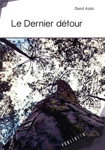 Couverture du livre « Le dernier détour » de David Azais aux éditions Publibook