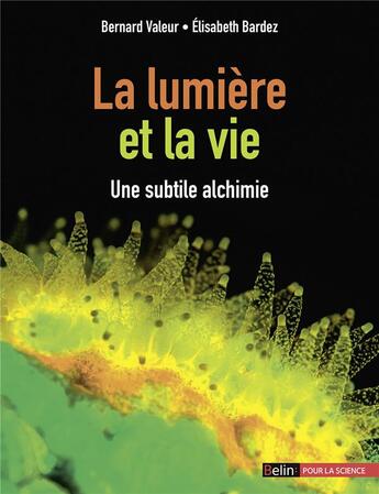 Couverture du livre « La lumière et la vie ; une subtile alchimie » de Bernard Valeur et Elisabeth Bardez aux éditions Belin