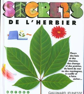 Couverture du livre « Secrets de l'herbier - livre-atelier » de  aux éditions Gallimard-jeunesse