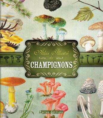 Couverture du livre « Atlas illustré des champignons » de  aux éditions Terres Editions