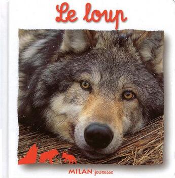 Couverture du livre « Loup » de Scheidhauer-Fradin N aux éditions Milan