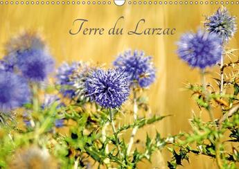 Couverture du livre « Terre du larzac calendrier mural 2018 din a3 horizontal - paysages du larzac calendrier » de Thebault P aux éditions Calvendo