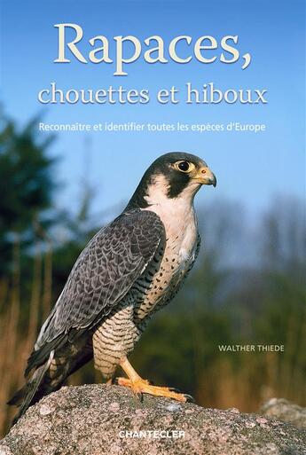 Couverture du livre « Rapaces, chouettes et hiboux » de Thiede W. aux éditions Chantecler