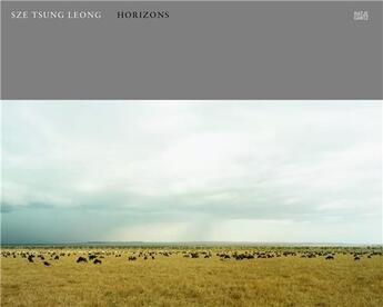 Couverture du livre « Sze tsung leong horizons » de Tsung Leong Sze aux éditions Hatje Cantz