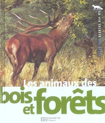 Couverture du livre « Les animaux des bois et des forets » de Michel Cuisin aux éditions Hachette Enfants