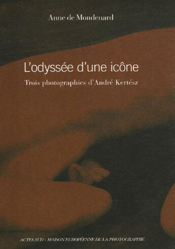 Couverture du livre « L'odyssée d'une icône » de Anne De Mondenard aux éditions Actes Sud