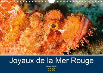 Couverture du livre « Joyaux de la mer rouge calendrier mural 2020 din a4 horizontal - decouvrez les fonds riches en » de Denis Jeant aux éditions Calvendo