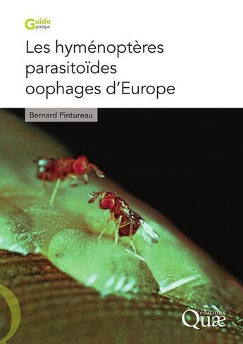 Couverture du livre « Les hyménoptères parasitoïdes oophages d'Europe » de Bernard Pintureau aux éditions Quae