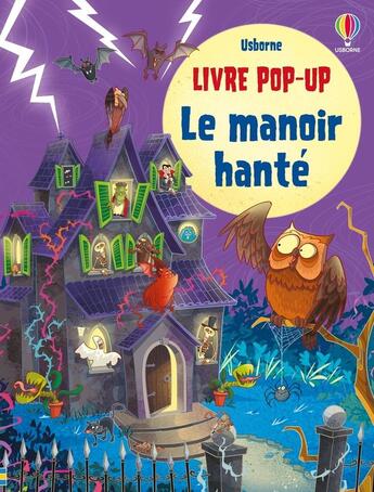 Couverture du livre « Mon livre pop-up : Le manoir hanté : Livre pop-up » de Sam Taplin et Fabiano Fiorin aux éditions Usborne