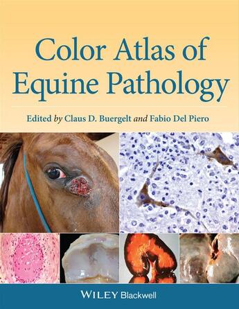 Couverture du livre « Color Atlas of Equine Pathology » de Claus D. Buergelt et Fabio Del Piero aux éditions Wiley-blackwell