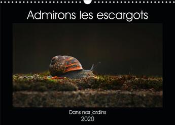 Couverture du livre « Admirons les escargots calendrier mural 2020 din a3 horizontal - dans nos jardins calendrier me » de Christina Ladan aux éditions Calvendo