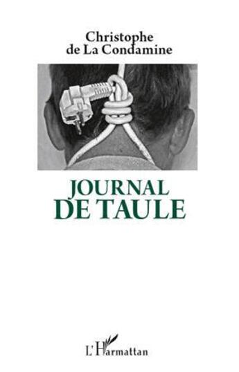 Couverture du livre « Journal de taule » de Christophe De La Condamine aux éditions L'harmattan