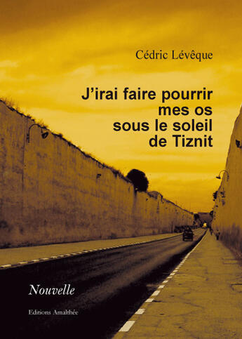 Couverture du livre « J'irai faire pourrir mes os sous le soleil Tiznit » de Cedric Leveque aux éditions Amalthee