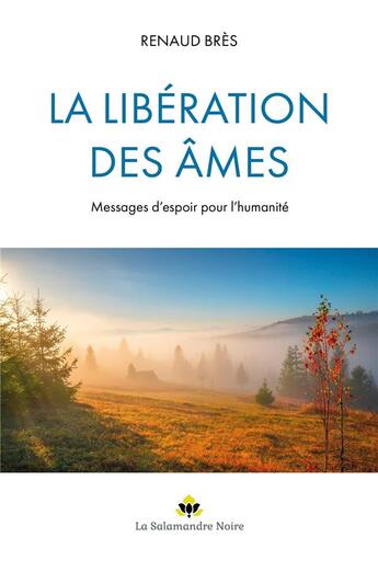 Couverture du livre « La libération des âmes : messages d'espoir pour l'humanité » de Renaud Bres aux éditions Librinova