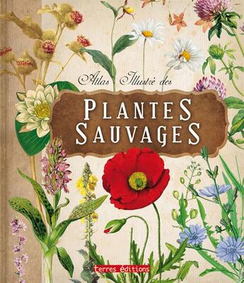 Couverture du livre « Atlas illustré des plantes sauvages » de  aux éditions Terres Editions