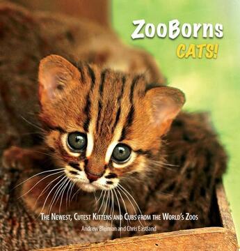 Couverture du livre « ZooBorns Cats! » de Eastland Chris aux éditions Simon & Schuster