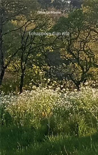 Couverture du livre « Echappées d'un elfe » de Olive Le Masne aux éditions Books On Demand