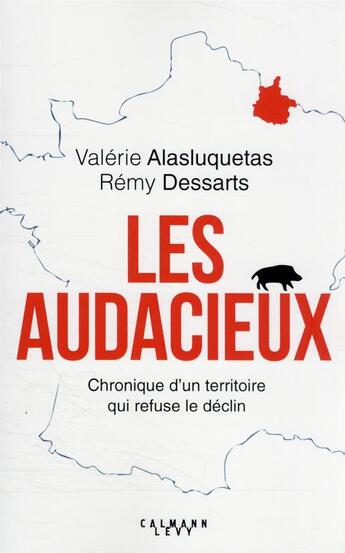 Couverture du livre « Les audacieux : chroniques d'un territoire qui refuse le déclin » de Valerie Alasluquetas et Remy Dessarts aux éditions Calmann-levy