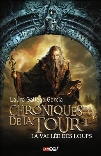 Couverture du livre « Chroniques de la tour t.1 ; la vallée des loups » de Laura Gallego-Garcia aux éditions J'ai Lu