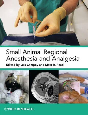 Couverture du livre « Small Animal Regional Anesthesia and Analgesia » de Luis Campoy et Matt Read aux éditions Wiley-blackwell