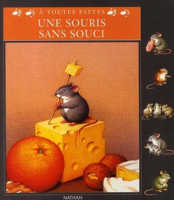 Couverture du livre « Une souris sans souci » de Chottin/Dzierzawska aux éditions Nathan