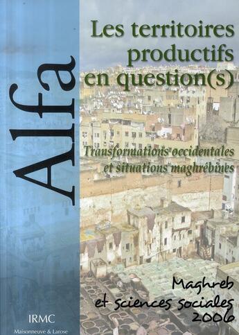 Couverture du livre « Les territoires productifs en question(s) ; transformations occidentales et situations maghrébines » de Mezouaghi M aux éditions Maisonneuve Larose