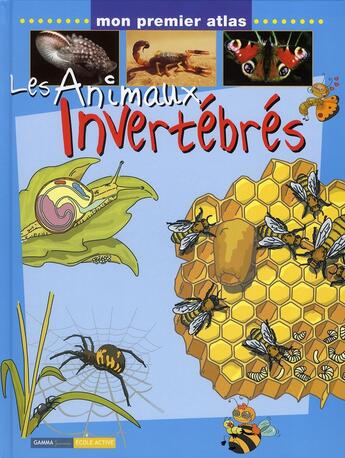 Couverture du livre « Les animaux invertébrés » de  aux éditions Circonflexe