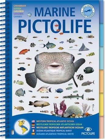 Couverture du livre « Marine Pictolife : Caraibes » de Antoine Dray et Francois Rebufat aux éditions Pictolife