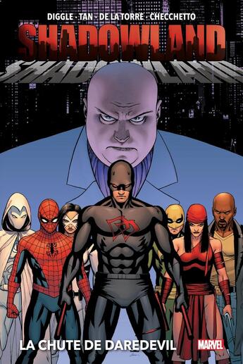 Couverture du livre « Shadowland : La chute de Daredevil (Nouvelle édition) » de Roberto De La Torre et Anthony Johnston et Marco Checchetto et Andy Diggle et Billy Tan aux éditions Panini