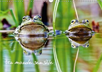 Couverture du livre « Un monde sensible calendrier mural 2018 din a3 horizontal - en macro ou au telezoom divers » de Dardenne C aux éditions Calvendo