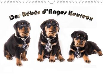 Couverture du livre « Des Bébés d'Anges Heureux (Calendrier mural 2020 DIN A4 horizontal) ; Le Rottweiler, race canine de toute beauté, impressionnant, il est surtout une boule de poil à aimer. (Calendrier mensuel, 14 Pages ) » de Seidler et Jcsreation aux éditions Calvendo