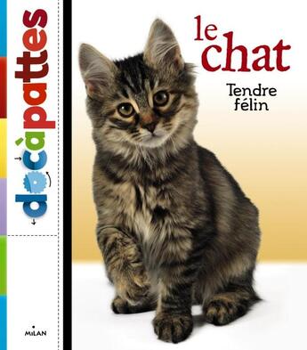 Couverture du livre « Le chat » de Stephane Frattini aux éditions Milan