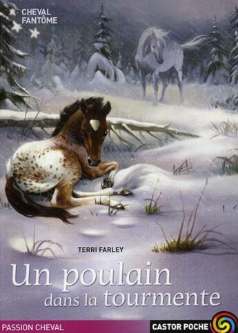 Couverture du livre « Cheval fantome - 5 - un poulain dans la tourmente » de Terri Farley aux éditions Pere Castor