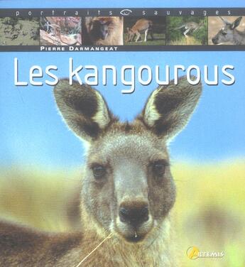 Couverture du livre « Kangourous (Les) » de Darmangeat Pierre aux éditions Artemis