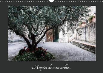 Couverture du livre « Au travers des saisons l arbre » de Photographie Ma aux éditions Calvendo